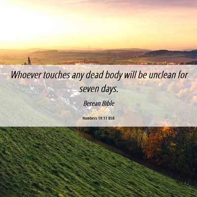 Picture 06 - Numbers 19:11 BSB - Whoever touches any dead body will be unclean for - Bible Verse Picture