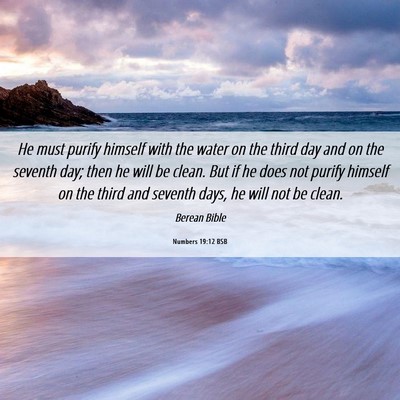 Picture 06 - Numbers 19:12 BSB - He must purify himself with the water on the - Bible Verse Picture