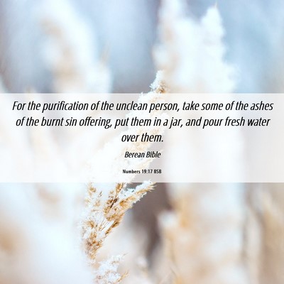 Picture 06 - Numbers 19:17 BSB - For the purification of the unclean person, take - Bible Verse Picture