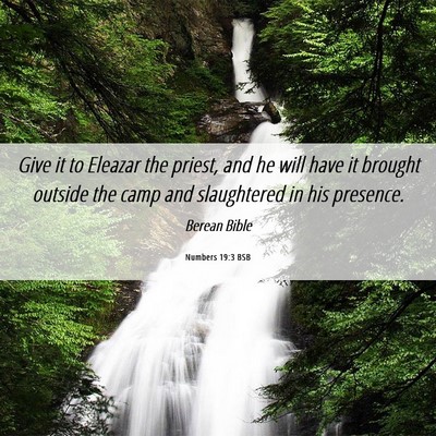 Picture 06 - Numbers 19:3 BSB - Give it to Eleazar the priest, and he will have - Bible Verse Picture