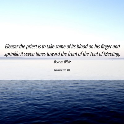 Picture 06 - Numbers 19:4 BSB - Eleazar the priest is to take some of its blood - Bible Verse Picture