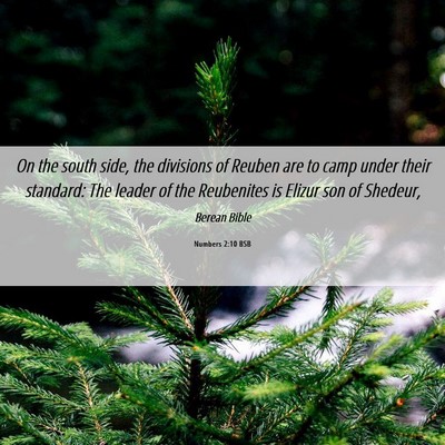 Picture 06 - Numbers 2:10 BSB - On the south side, the divisions of Reuben are to - Bible Verse Picture