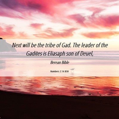 Picture 06 - Numbers 2:14 BSB - Next will be the tribe of Gad. The leader of the - Bible Verse Picture