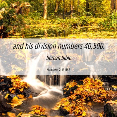Picture 06 - Numbers 2:19 BSB - and his division numbers - Bible Verse Picture