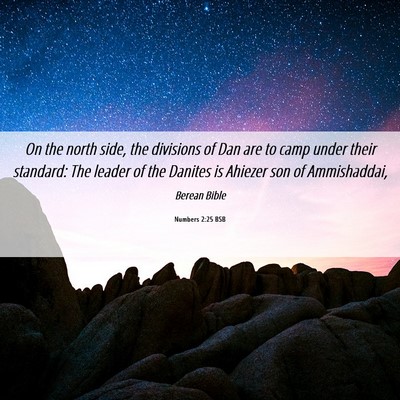 Picture 06 - Numbers 2:25 BSB - On the north side, the divisions of Dan are to - Bible Verse Picture