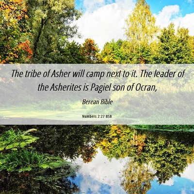 Picture 06 - Numbers 2:27 BSB - The tribe of Asher will camp next to it. The - Bible Verse Picture