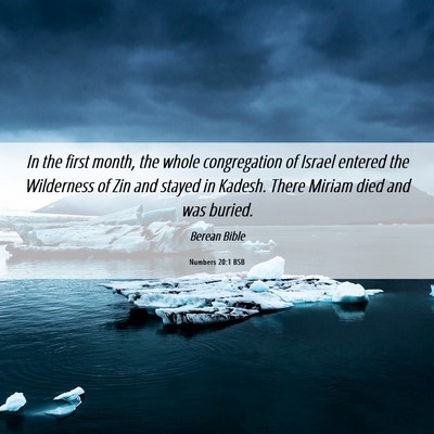 Picture 06 - Numbers 20:1 BSB - In the first month, the whole congregation of - Bible Verse Picture