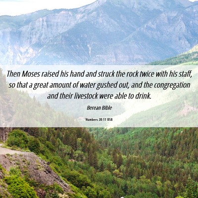 Picture 06 - Numbers 20:11 BSB - Then Moses raised his hand and struck the rock - Bible Verse Picture