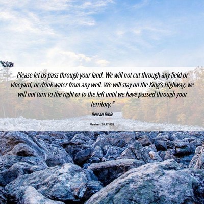 Picture 06 - Numbers 20:17 BSB - Please let us pass through your land. We will not - Bible Verse Picture
