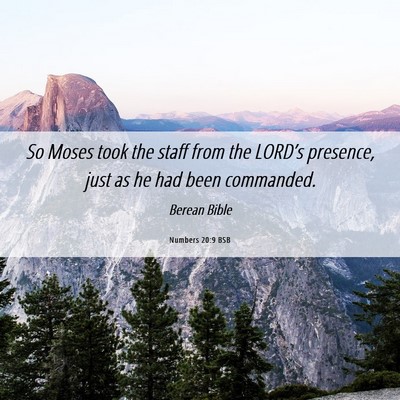 Picture 06 - Numbers 20:9 BSB - So Moses took the staff from the LORD’s - Bible Verse Picture