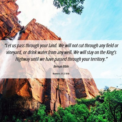 Picture 06 - Numbers 21:22 BSB - “Let us pass through your land. We will not cut - Bible Verse Picture