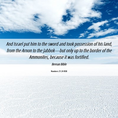 Picture 06 - Numbers 21:24 BSB - And Israel put him to the sword and took - Bible Verse Picture