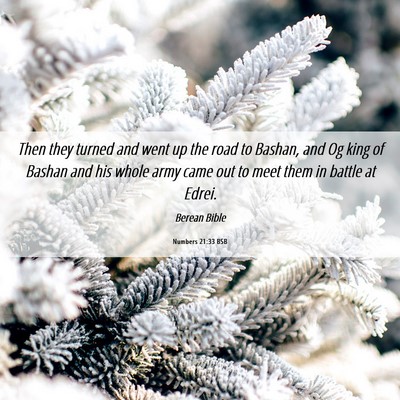 Picture 06 - Numbers 21:33 BSB - Then they turned and went up the road to Bashan, - Bible Verse Picture