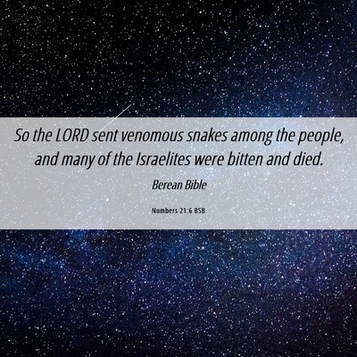 Picture 06 - Numbers 21:6 BSB - So the LORD sent venomous snakes among the - Bible Verse Picture