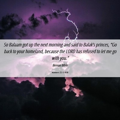 Picture 06 - Numbers 22:13 BSB - So Balaam got up the next morning and said to - Bible Verse Picture