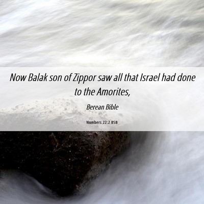 Picture 06 - Numbers 22:2 BSB - Now Balak son of Zippor saw all that Israel had - Bible Verse Picture