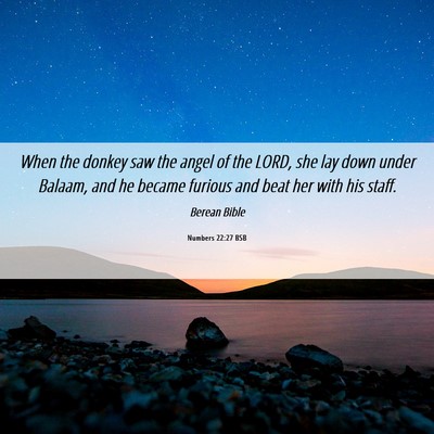 Picture 06 - Numbers 22:27 BSB - When the donkey saw the angel of the LORD, she - Bible Verse Picture