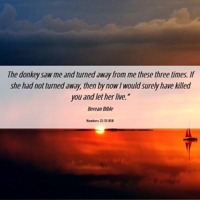 Picture 06 - Numbers 22:33 BSB - The donkey saw me and turned away from me these - Bible Verse Picture