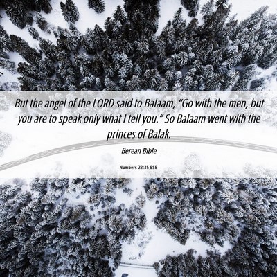 Picture 06 - Numbers 22:35 BSB - But the angel of the LORD said to Balaam, “Go - Bible Verse Picture