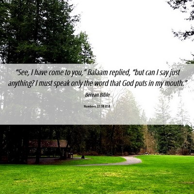 Picture 06 - Numbers 22:38 BSB - “See, I have come to you,” Balaam replied, - Bible Verse Picture