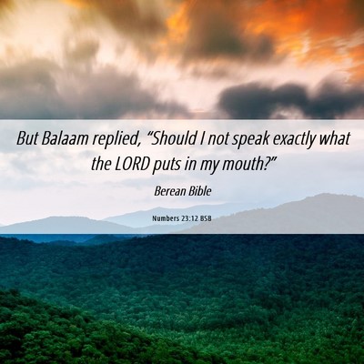Picture 06 - Numbers 23:12 BSB - But Balaam replied, “Should I not speak exactly - Bible Verse Picture