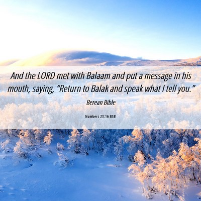 Picture 06 - Numbers 23:16 BSB - And the LORD met with Balaam and put a message in - Bible Verse Picture