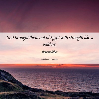 Picture 06 - Numbers 23:22 BSB - God brought them out of Egypt with strength like - Bible Verse Picture