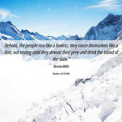 Picture 06 - Numbers 23:24 BSB - Behold, the people rise like a lioness; they - Bible Verse Picture