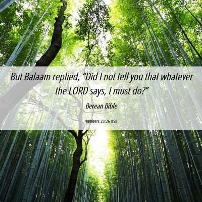 Picture 06 - Numbers 23:26 BSB - But Balaam replied, “Did I not tell you that - Bible Verse Picture