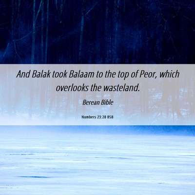 Picture 06 - Numbers 23:28 BSB - And Balak took Balaam to the top of Peor, which - Bible Verse Picture