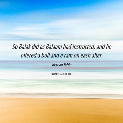 Picture 06 - Numbers 23:30 BSB - So Balak did as Balaam had instructed, and he - Bible Verse Picture