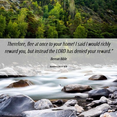 Picture 06 - Numbers 24:11 BSB - Therefore, flee at once to your home! I said I - Bible Verse Picture