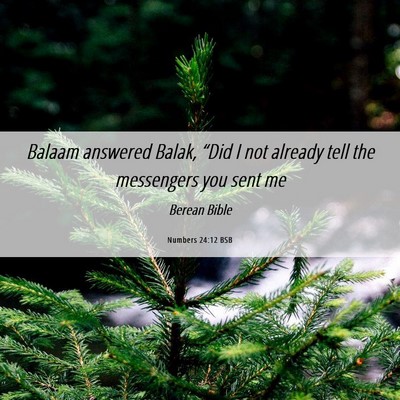 Picture 06 - Numbers 24:12 BSB - Balaam answered Balak, “Did I not already tell - Bible Verse Picture