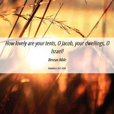 Picture 06 - Numbers 24:5 BSB - How lovely are your tents, O Jacob, your - Bible Verse Picture