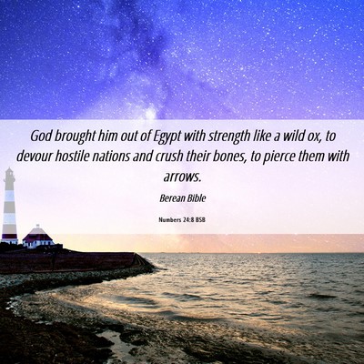 Picture 06 - Numbers 24:8 BSB - God brought him out of Egypt with strength like a - Bible Verse Picture
