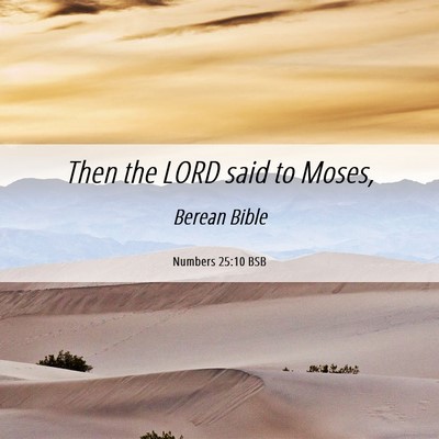 Picture 06 - Numbers 25:10 BSB - Then the LORD said to - Bible Verse Picture