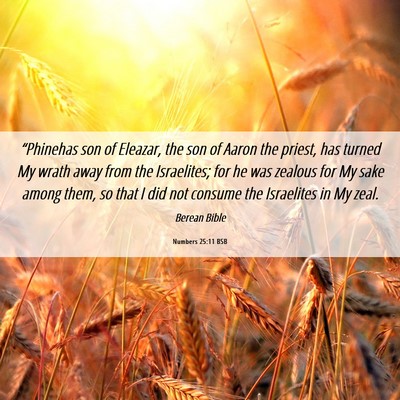 Picture 06 - Numbers 25:11 BSB - “Phinehas son of Eleazar, the son of Aaron the - Bible Verse Picture