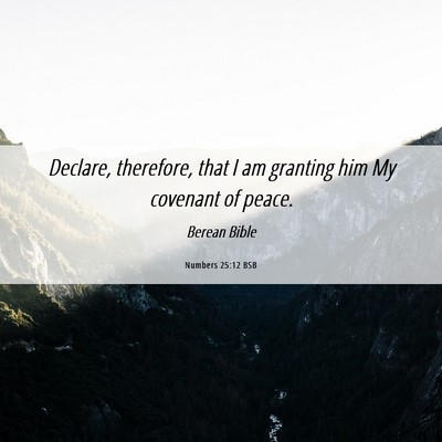 Picture 06 - Numbers 25:12 BSB - Declare, therefore, that I am granting him My - Bible Verse Picture