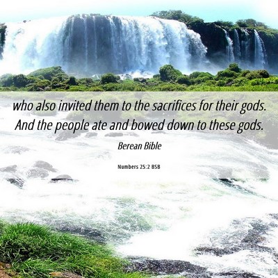 Picture 06 - Numbers 25:2 BSB - who also invited them to the sacrifices for their - Bible Verse Picture