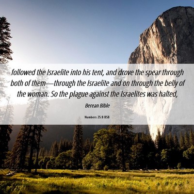 Picture 06 - Numbers 25:8 BSB - followed the Israelite into his tent, and drove - Bible Verse Picture