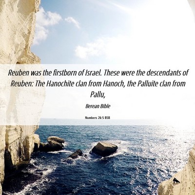 Picture 06 - Numbers 26:5 BSB - Reuben was the firstborn of Israel. These were - Bible Verse Picture