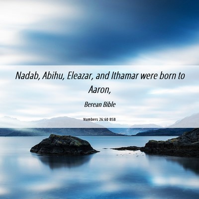 Picture 06 - Numbers 26:60 BSB - Nadab, Abihu, Eleazar, and Ithamar were born to - Bible Verse Picture