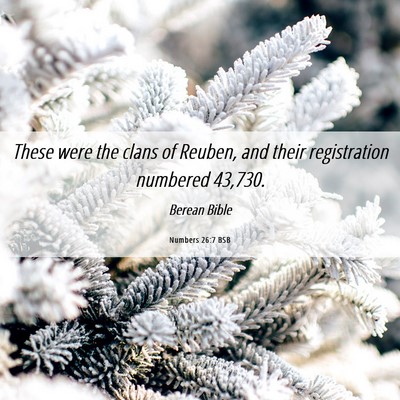 Picture 06 - Numbers 26:7 BSB - These were the clans of Reuben, and their - Bible Verse Picture
