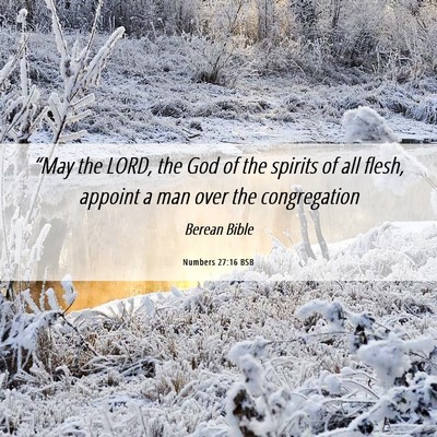Picture 06 - Numbers 27:16 BSB - “May the LORD, the God of the spirits of all - Bible Verse Picture