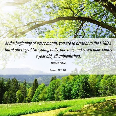 Picture 06 - Numbers 28:11 BSB - At the beginning of every month, you are to - Bible Verse Picture