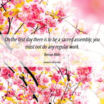 Picture 06 - Numbers 28:18 BSB - On the first day there is to be a sacred - Bible Verse Picture