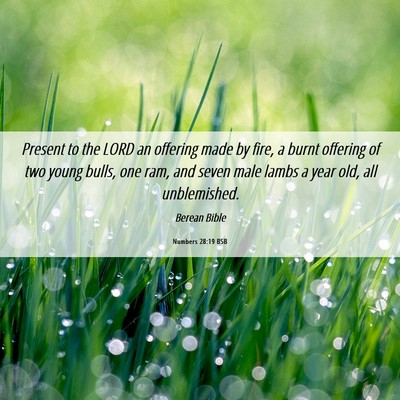 Picture 06 - Numbers 28:19 BSB - Present to the LORD an offering made by fire, a - Bible Verse Picture