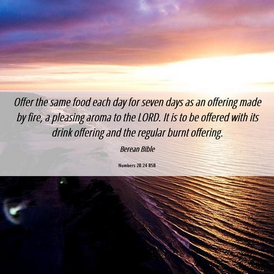 Picture 06 - Numbers 28:24 BSB - Offer the same food each day for seven days as an - Bible Verse Picture