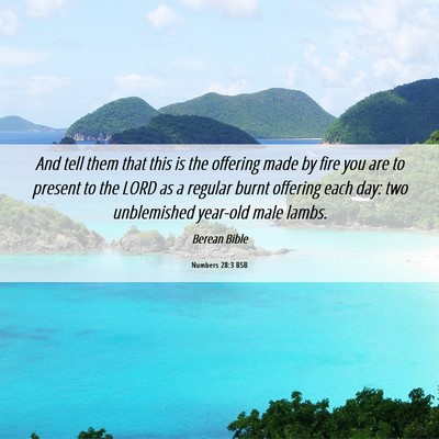 Picture 06 - Numbers 28:3 BSB - And tell them that this is the offering made by - Bible Verse Picture
