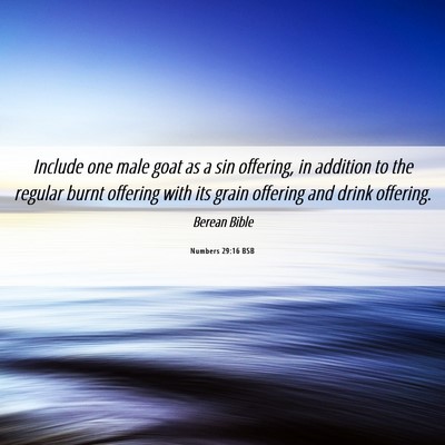 Picture 06 - Numbers 29:16 BSB - Include one male goat as a sin offering, in - Bible Verse Picture